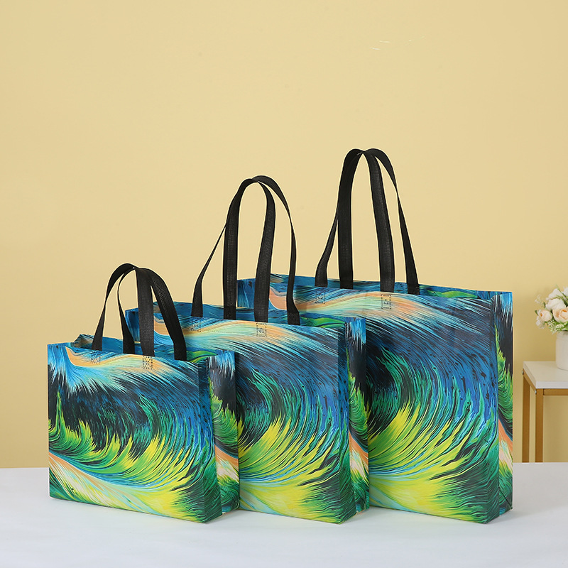 Factory Printing Portable Non-Woven Shopping Bag Simple Fashion All-Match Pattern Buggy Bag Bag Cross-Border Wholesale