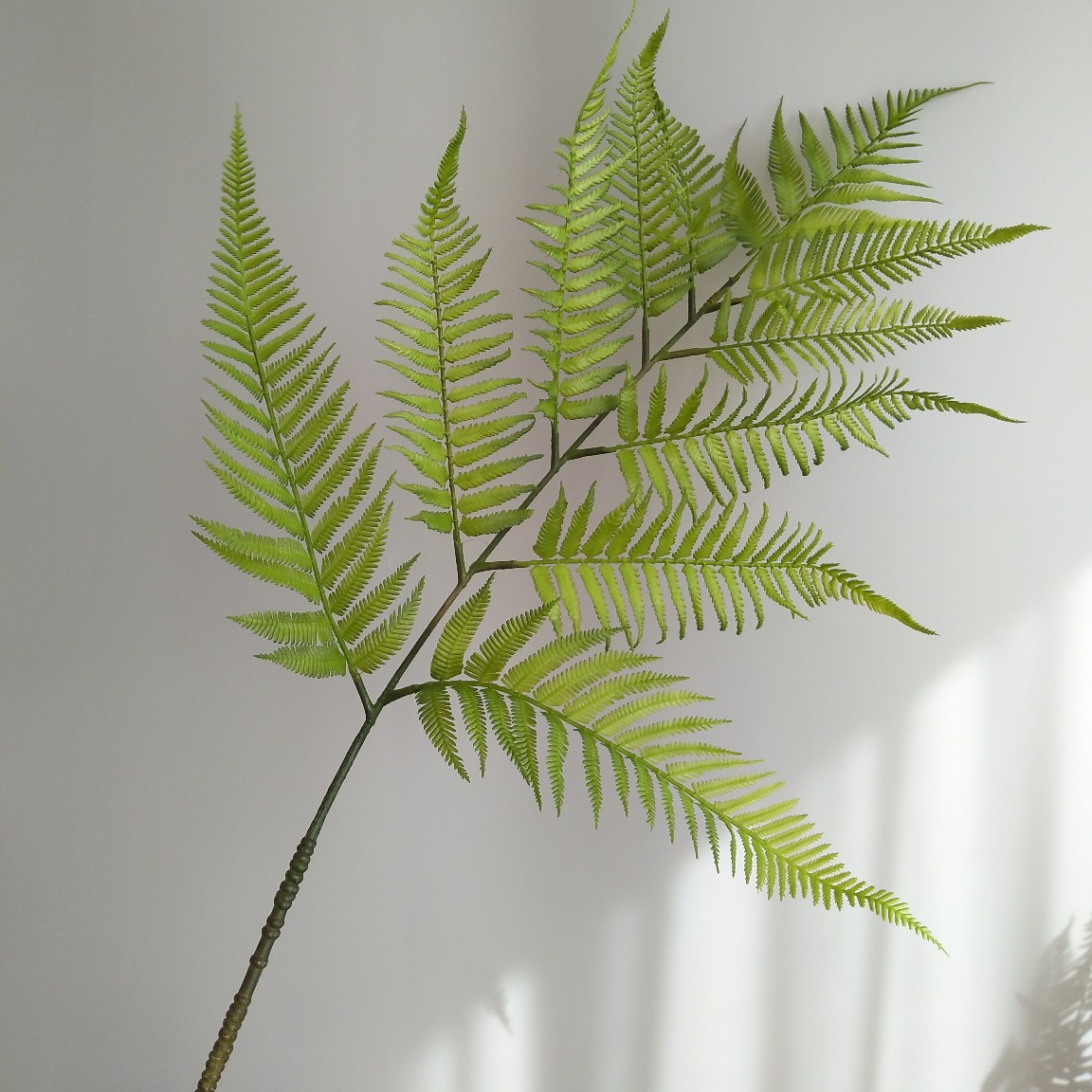 仿真软胶金丝猴厥金丝蕨 仿真软胶植物新中式家居样板间酒店装饰