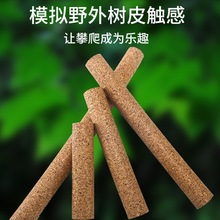 树蛙攀爬木橱窗藤条造景软木宠物摆件树栖姥爷装饰可爱蜘蛛