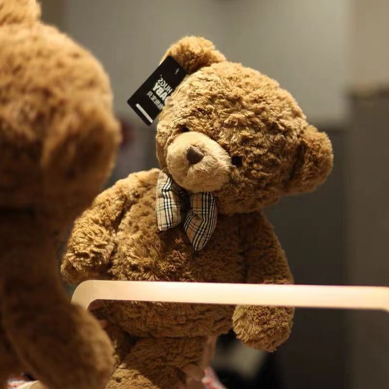 正版抱抱熊宝贝克莱尔熊公仔毛绒玩具床上抱睡大号小熊泰迪熊公仔