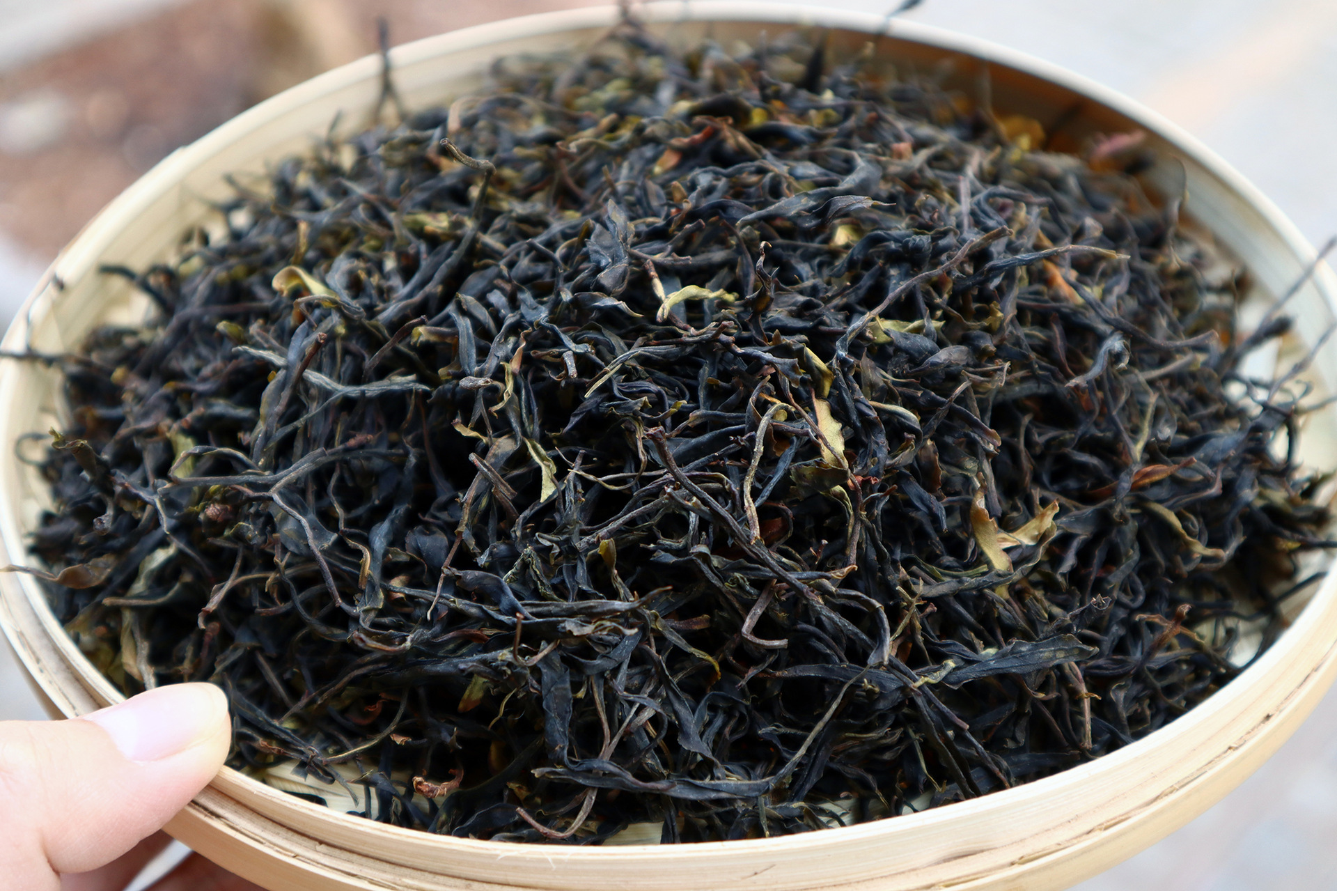 批发云南普洱茶叶头春古树大雪山生茶一口料茶2021年明前春茶散茶