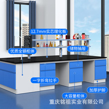 全钢钢木实验室边台中央台操作台理化板台面试验台实验桌工作台