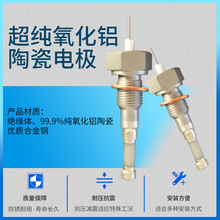 太仓仪表超纯氧化铝水位电极锅炉外螺纹式电极DJM1815-115/95/87