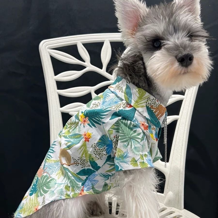 夏季狗狗衣服小型犬薄款花衬衫泰迪雪纳瑞柯基巴哥猫咪衣服宠物装