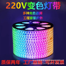 led110V220V七彩5050RGB灯条氛围彩色户外防水工程景区亮化灯带