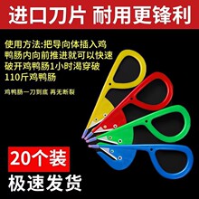 黎旬源头厂家通肠器鸭肠刀鸡肠刀开肠切肠器破鸡肠神器剖破鸡鸭鹅