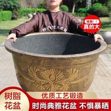 特大号花盆树脂加厚大花盆铁树果树阳台庭院种树花盆养荷花专批发