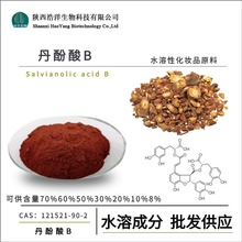 丹酚酸B70% 浩洋生物 萃取 丹参提取物 水溶 丹参原料粉 批发包邮