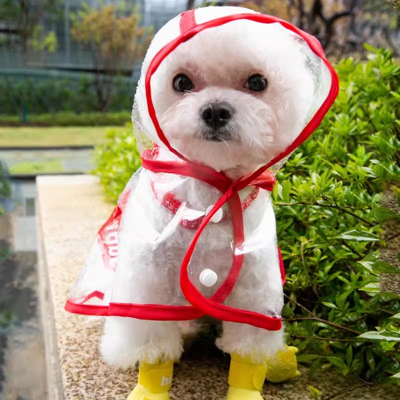 小狗狗雨衣春季泰迪比熊专用小型犬雨天外出衣服雨披防水宠物服饰