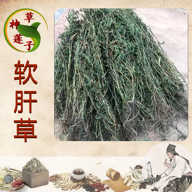 软肝草中药材 野生种植民间草药材 铁甲草 神草莲子中药材
