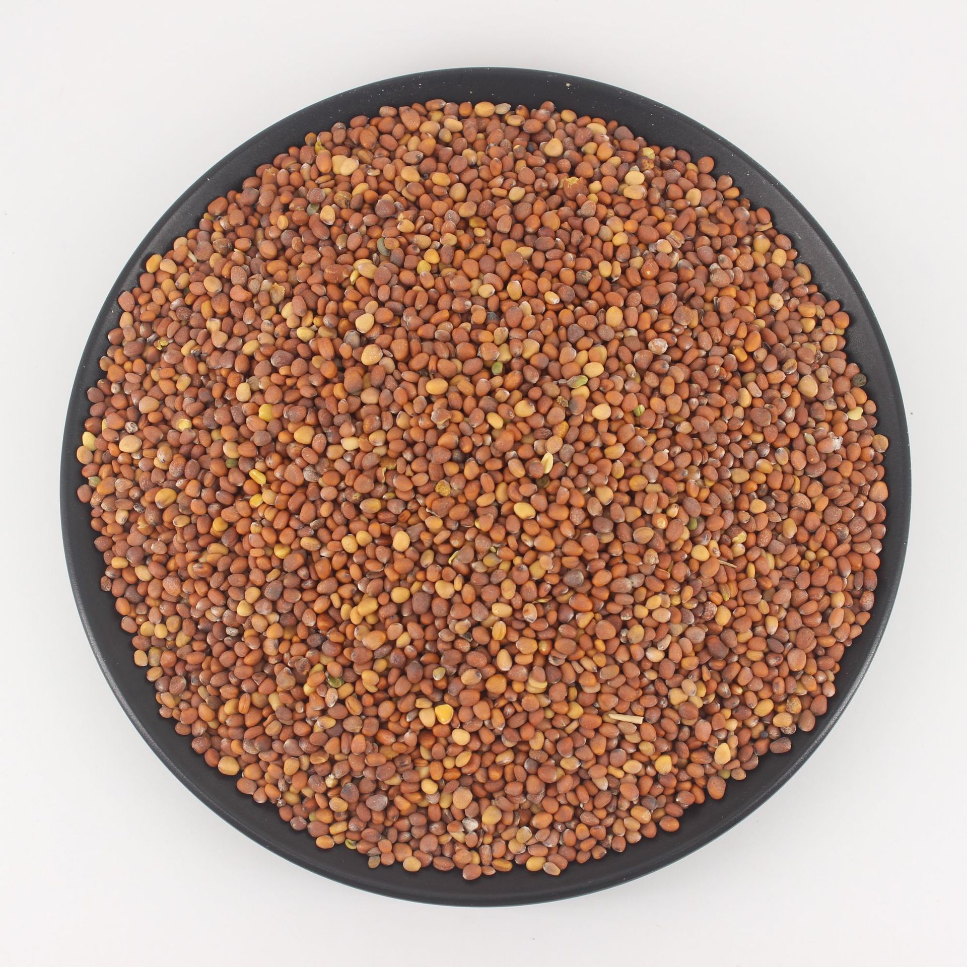 中药材批发莱菔子 萝卜籽四川产地货源籽籽货批发 莱菔子干净无杂