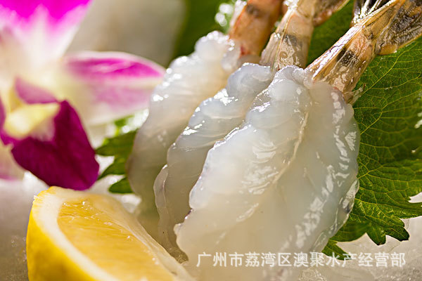 海鲜"刺身虎虾"去头虎虾 冻品 日料理寿司餐厅食材批发 20头/版