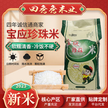 米麦郎宝应珍珠米25KG 2023当季新米香米农家珍珠米食堂经济实惠