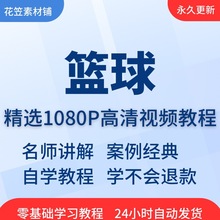 视频教程教学街球零技巧教学基础大全篮球训练课程打篮球基础入门