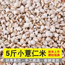 薏米仁批发5斤小薏仁米厂家直销意米仁批发价赤小豆排湿厂家直销