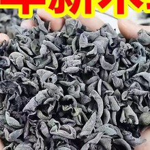 黑木耳干货东北秋木耳500g非特级野生小碗耳长白山椴木干木耳包邮