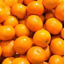 雪杉蜜桔新鲜橘子水果特早熟蜜橘当季无籽黄皮桔子柑桔子水果批发