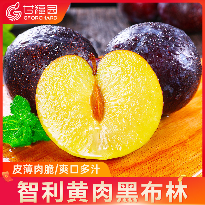 智利黄肉黑布林李子5斤新鲜当季水果孕妇现摘恐龙蛋酸李整箱包邮