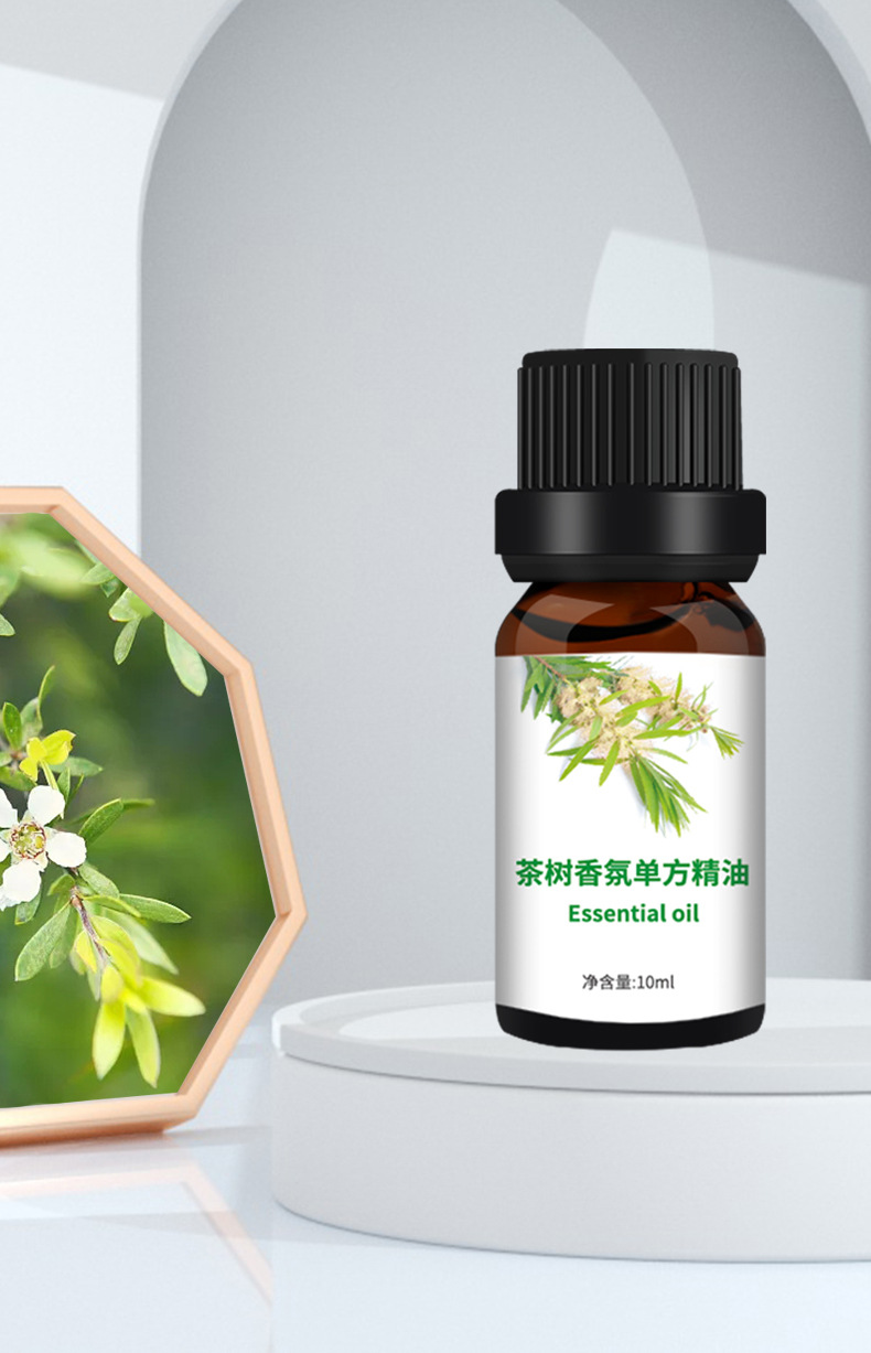 现货茶树香氛单方精油祛痘薰衣草茶树植物香薰精油面部护肤美容院