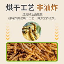 鸟食面包虫干玄凤鹦鹉八哥专用鸟粮画眉鸟鹩哥绣眼幼鸟斑鸠鸟饲料