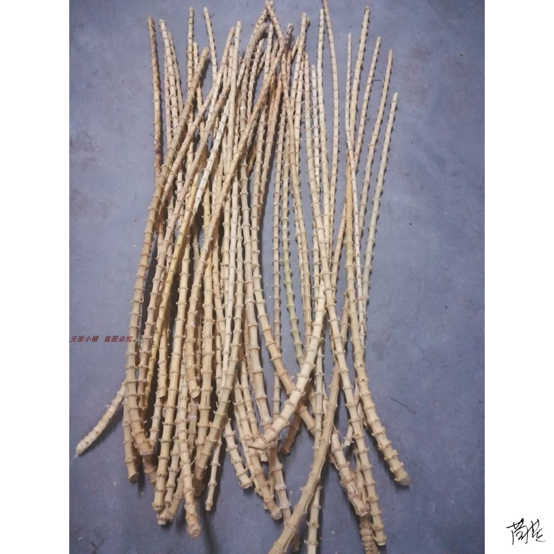 抄网竹鞭耗材飞蝇原料烟斗竹艺品竹原材料烟杆干料茶艺抄网头短节