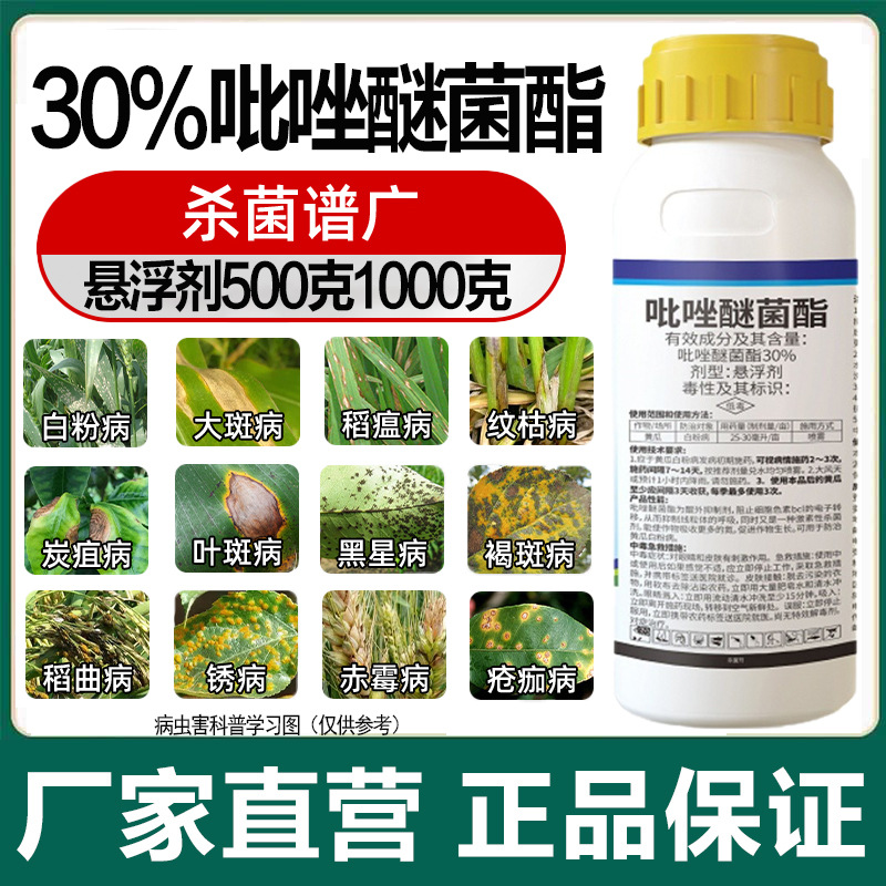 菌歌30%吡唑醚菌酯果树白粉病叶斑病霜霉病炭疽农药杀菌剂悬浮剂
