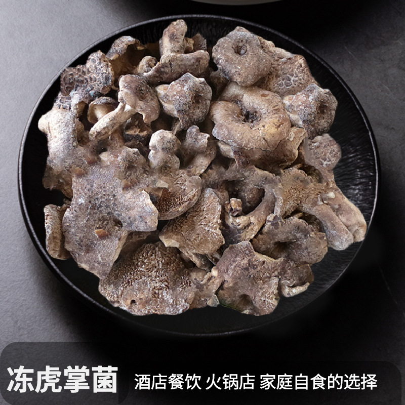 云南自然生长菌冰冻食用虎掌菌500g枣翘鳞肉齿菌批发黑虎掌菌冻品