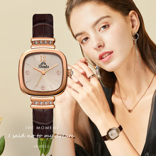 DUOLZ/多伦兹2023新款简约气质时尚复古皮带防水石英女士手表