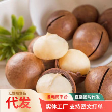 【代发】夏威夷果奶油味500g 批发薄皮大果胡桃坚果零食夏威夷果