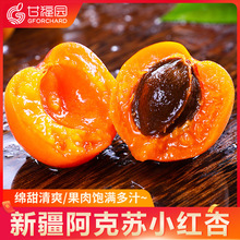 新疆阿克苏小红杏4斤杏子 当季新鲜白杏胭脂红杏孕妇水果空运包邮
