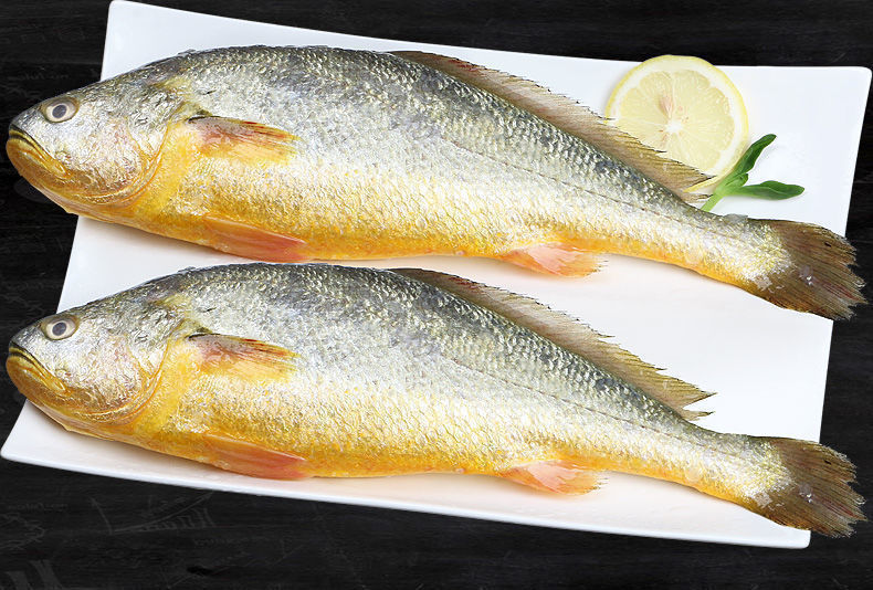 整箱青岛大黄姑鱼新鲜大黄鱼鲜活冷冻黄生鲜海鲜类批发水产大海鱼