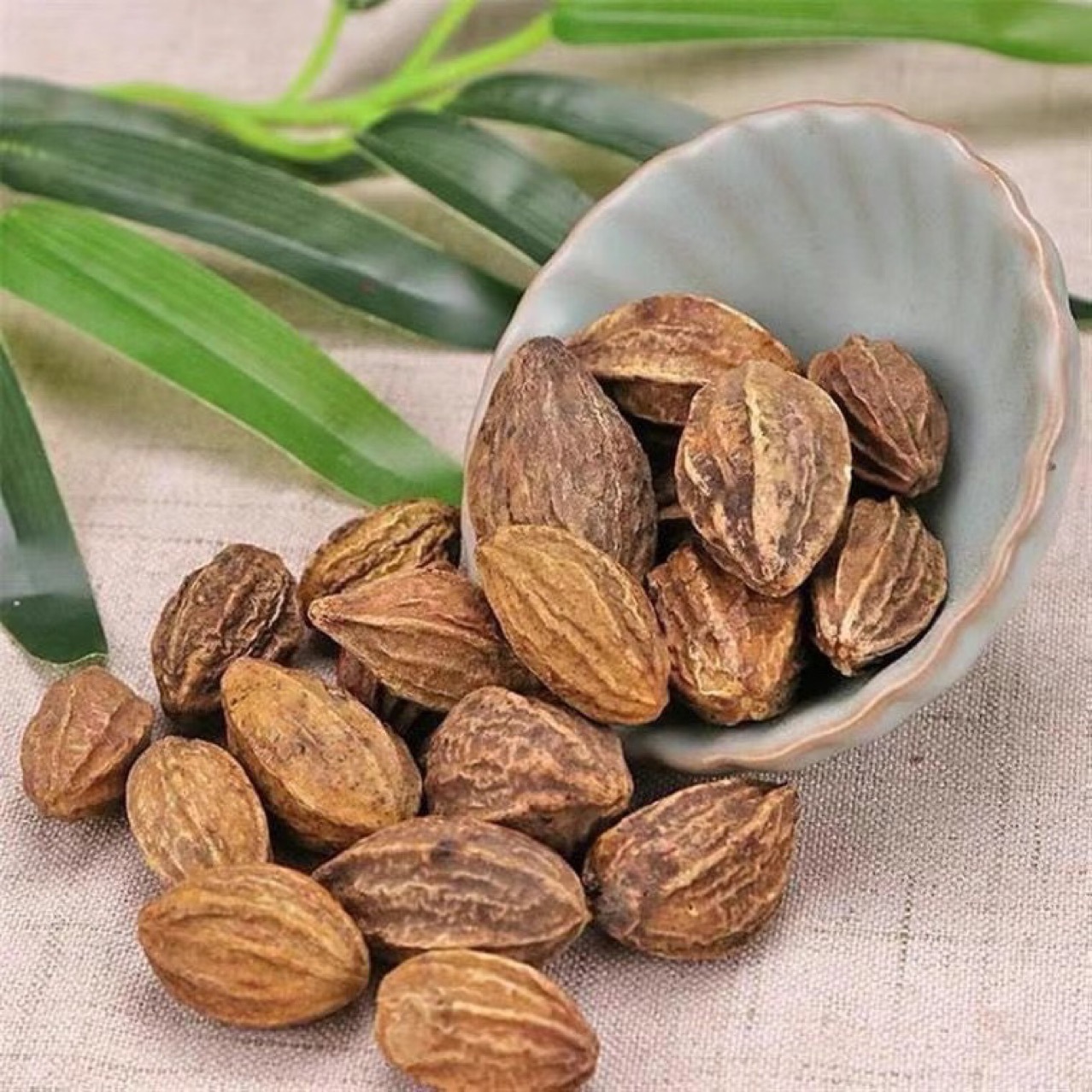 诃子新货正品诃子肉柯子中药材诃子肉柯子金柯子大金果500g包邮-阿里