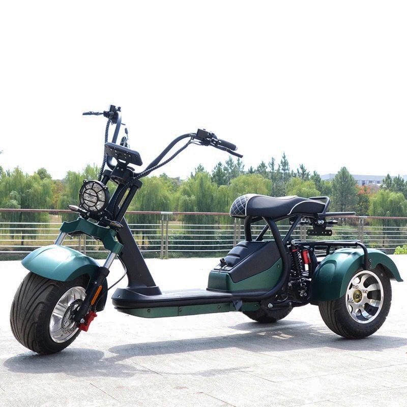 厂家批发coc电动车三轮车电瓶车哈雷车citycoco electric scooter