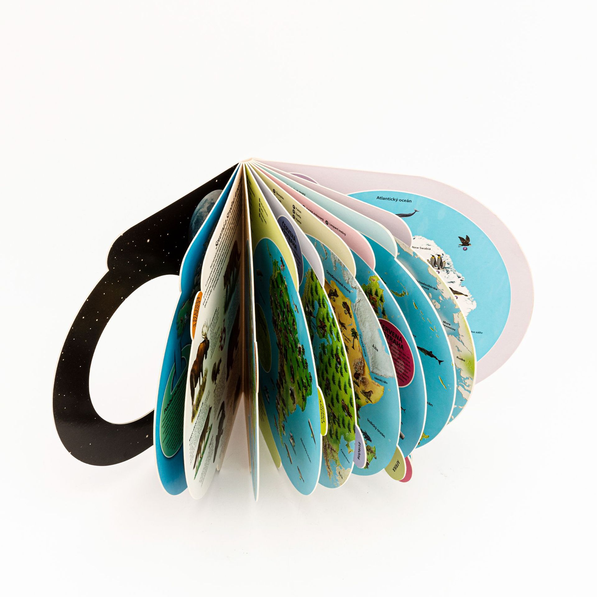 【板纸书】-板纸书厂家,品牌,图片,热帖-阿里巴巴