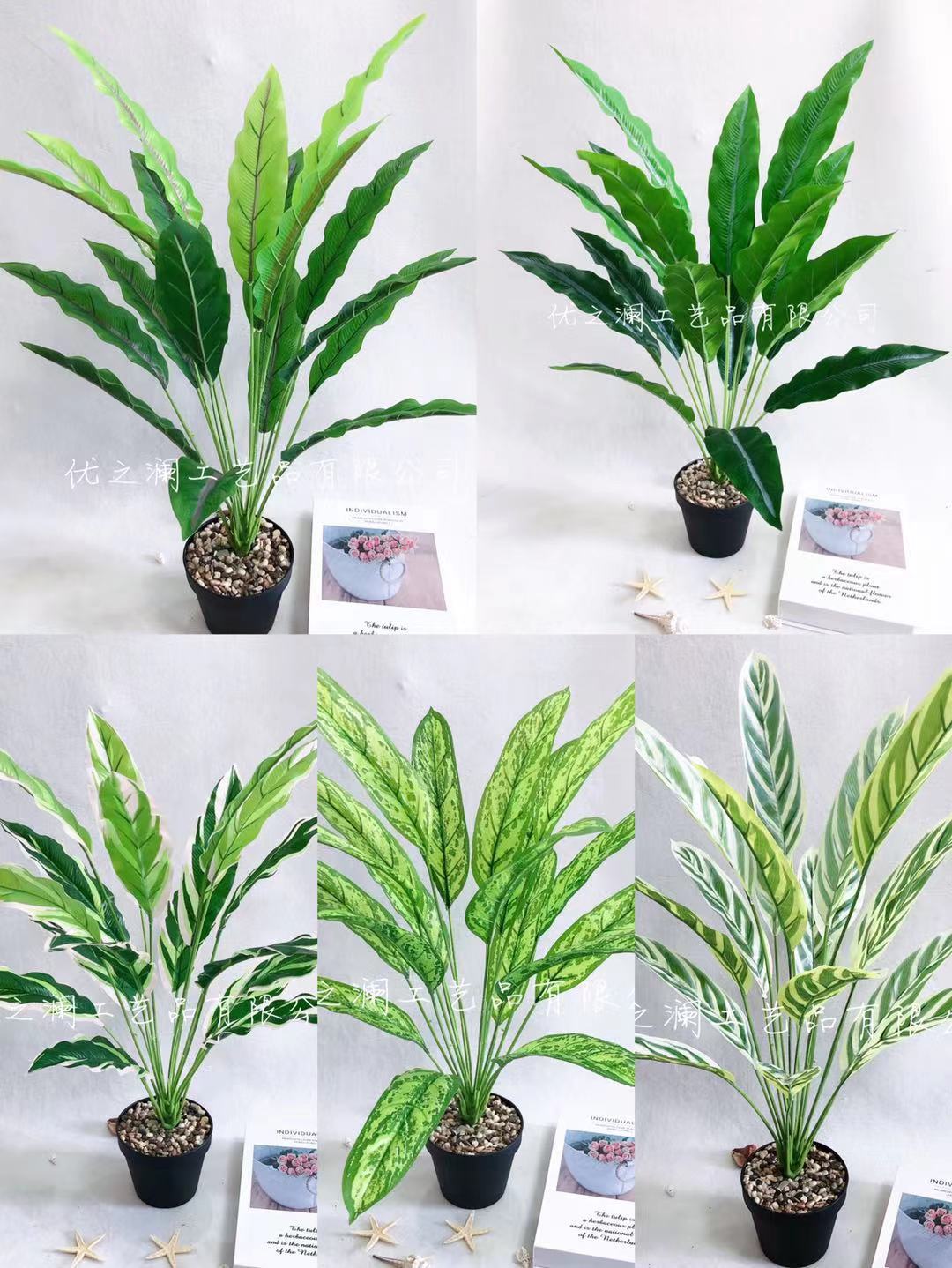 厂家直批 小18头剑叶 竹芋叶 家居摆设盆栽盆景过胶手感叶