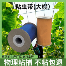 粘虫带大棚黄色粘小黑飞蓝色黏蓟马白粉虱茶园果园蔬菜双面批发