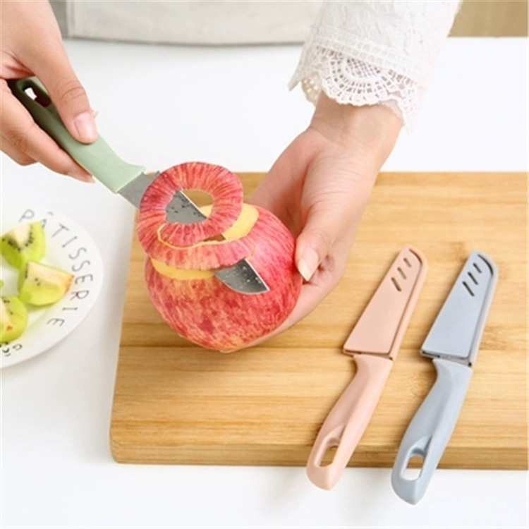 Stainless Steel Fruit Knife Thickened Household Melon/Fruit Peeler Portable Portable Beam Knife Multi-Function Melon Cutter