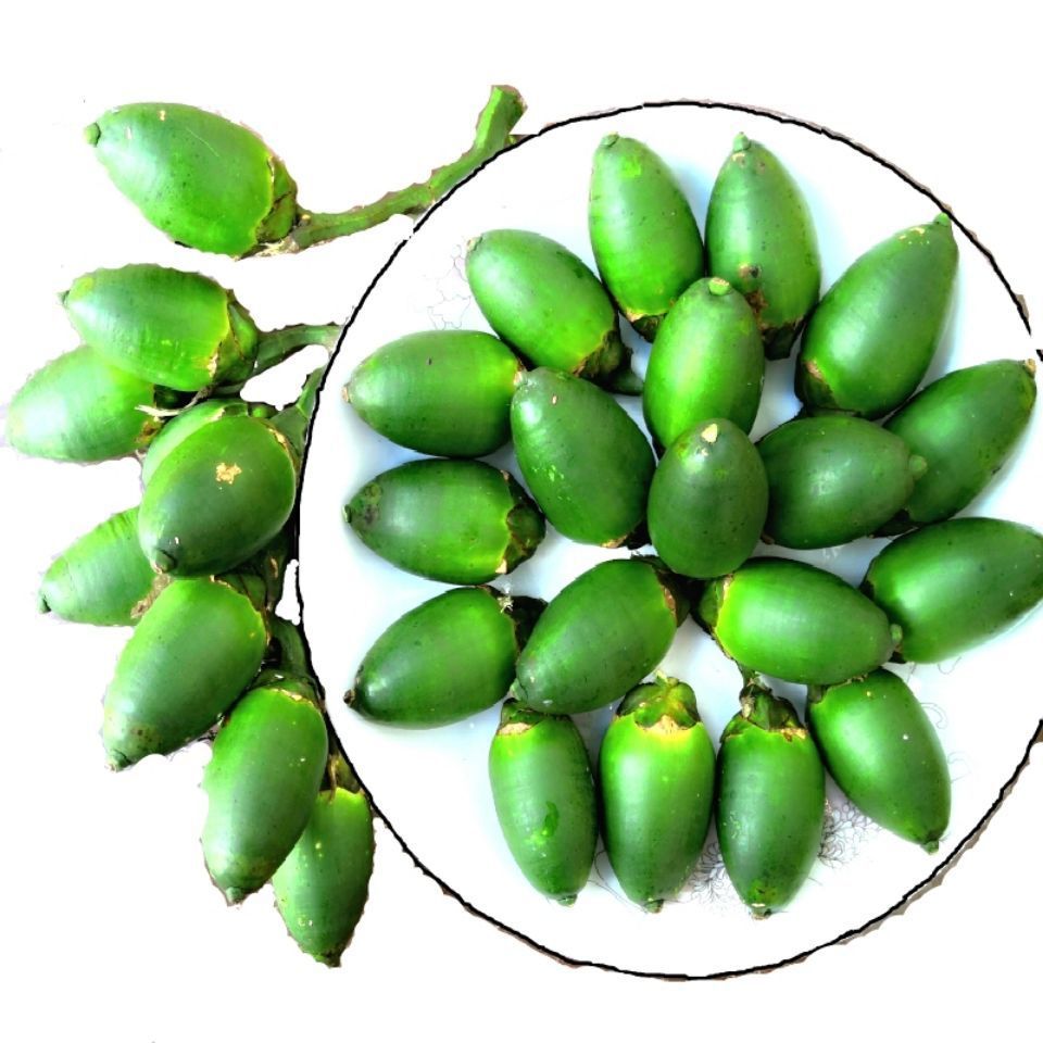 海南青槟榔生果乐东陵水槟榔新鲜槟榔现摘50克装生槟榔带配料包邮