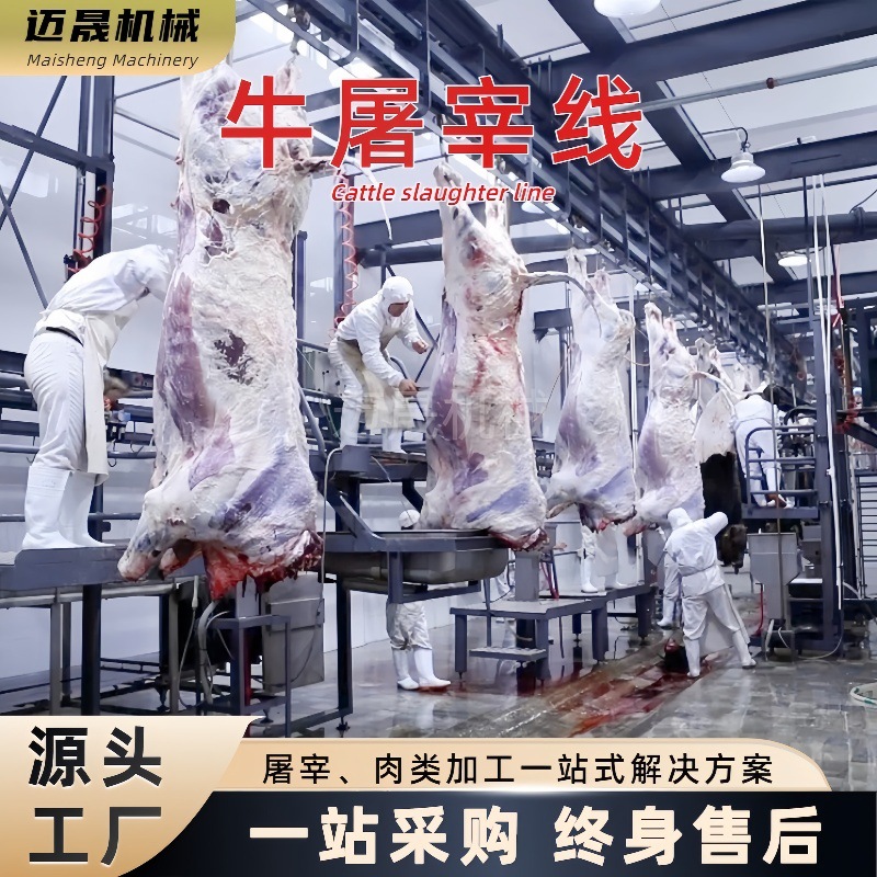 牛屠宰生产线 每天宰杀50头牛流水线 全自动大型牛屠宰加工流水线