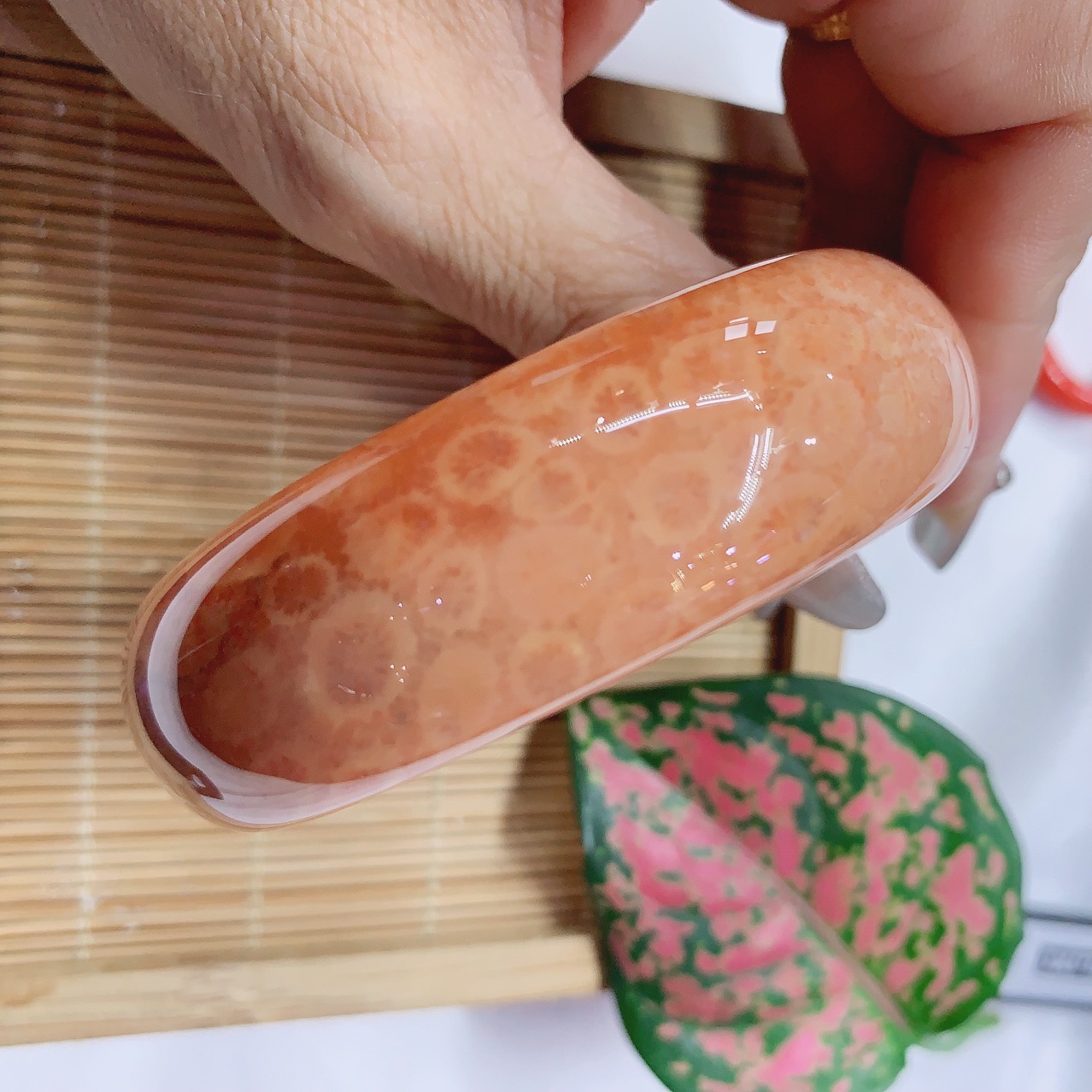 天然珊瑚玉手镯 菊花石手镯 两面满花带红 珊瑚化石镯子55圈口