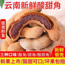 酸角云南特产新鲜甜酸角特酸罗望子休闲零食散装带壳精选甜角