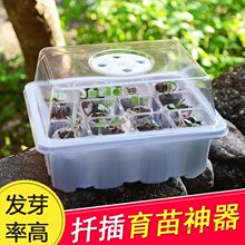 闷养箱园艺植物育种育苗箱保温保湿培育盒带盖扦插盆穴盘育苗