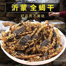 新货清水蝎子干全虫全蝎子干蝎子食用野纯干全虫新货批发量大包邮