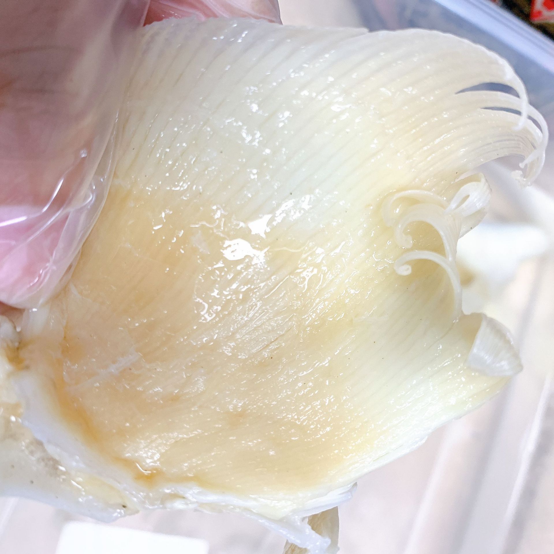 产地批发 北海鱼赤 海狗翅浦鱼翅片 佛跳墙酒店餐饮食材海味干货