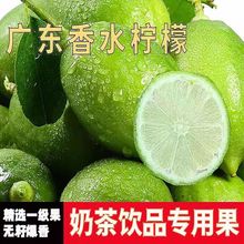 广东香水柠檬无籽一级青果新鲜采摘手打柠檬茶专用