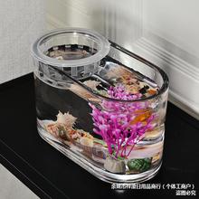 批发简约桌面透明玻璃鱼缸水培椭圆形花盆水养植物容器透明鱼缸