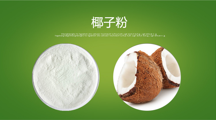 椰子粉 99% 椰子果粉 99% 椰子提取物 椰子粉冻干粉