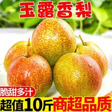 隰县玉露香梨5/10斤新鲜水果梨子应季批发酥梨整箱非秋月梨亚马逊