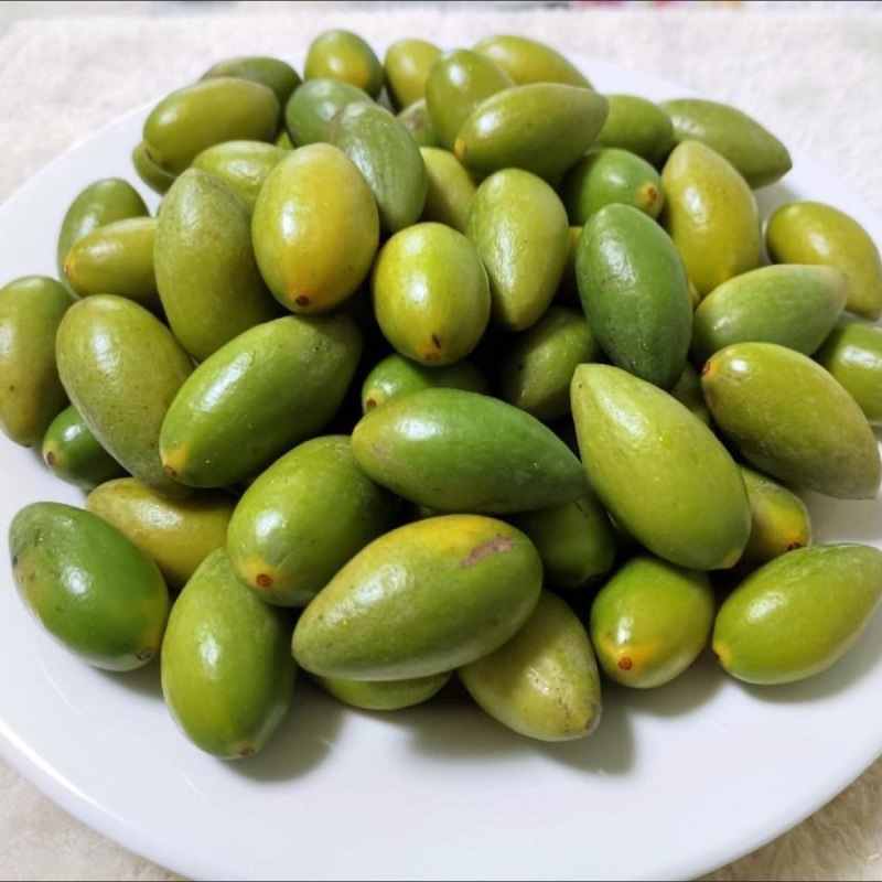 橄榄果金灶甜种潮汕现摘冰糖鲜生吃酥脆特甘甜无渣青翠生橄榄混批