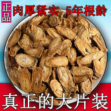 【包邮】牛蒡茶牛蒡根牛榜新鲜牛旁磅牛膀茶250g